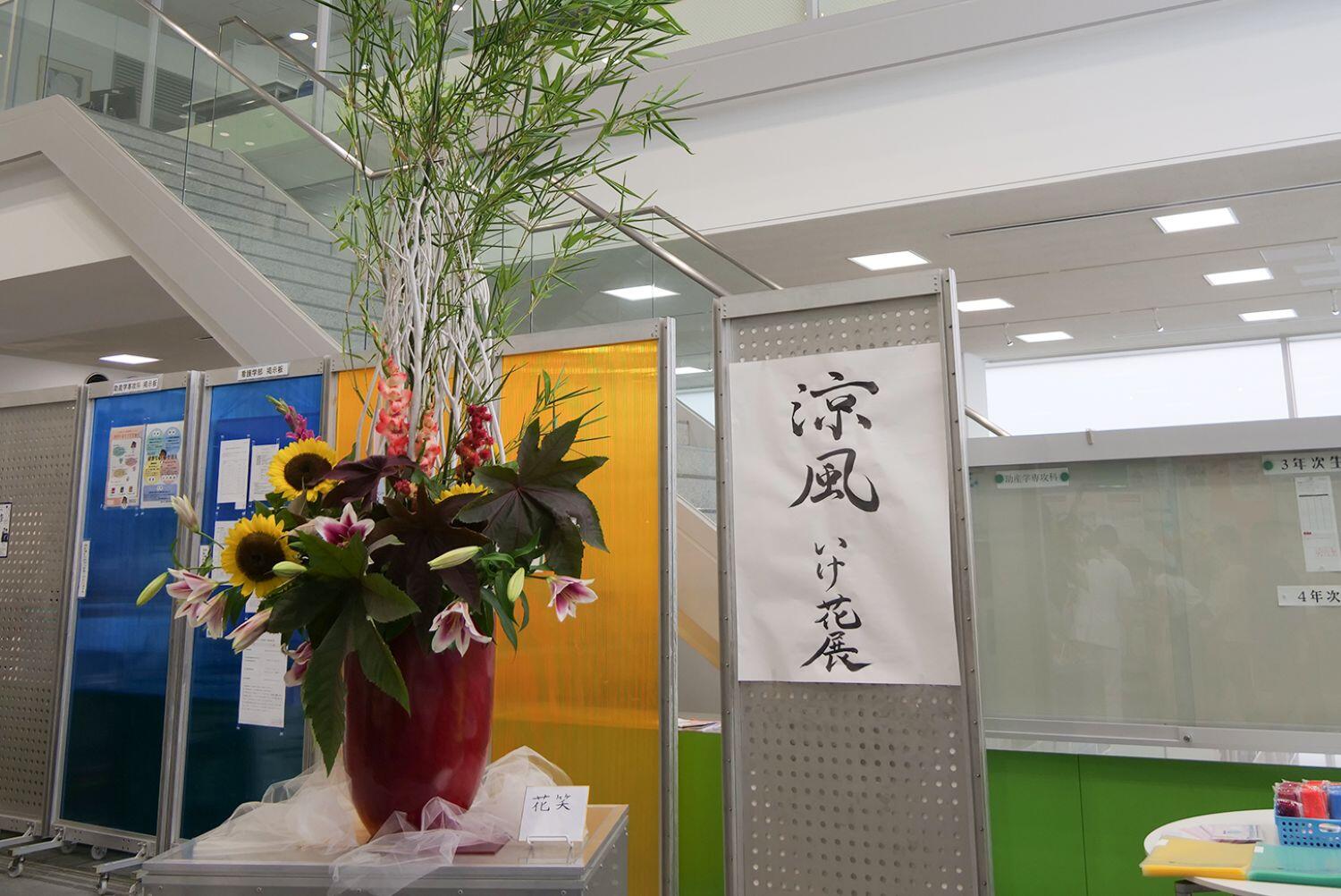 涼風展1.jpg