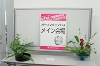 DSC00308.JPG