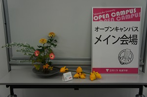 20141029103149.jpg