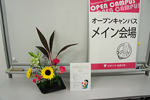 20160726113140.jpg