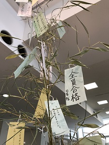 20170627111105.jpg
