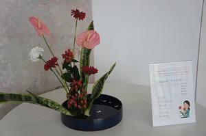 20170628115107.JPG