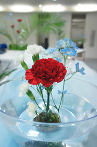 DSC03787.JPG