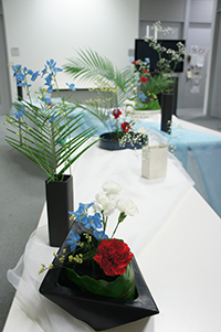 DSC03790.JPG