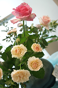DSC03794.JPG