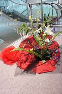 DSC03813.JPG