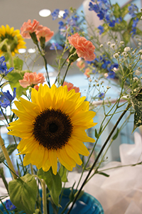 DSC03817.JPG