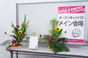 20180625164150.jpg