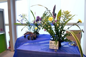 DSC08423.JPG
