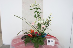DSC08428.jpg