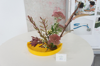 20130917105856.JPG