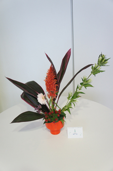 20131007105939.JPG