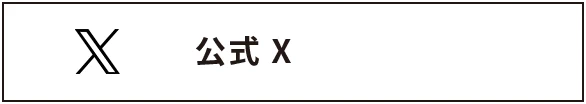 公式X